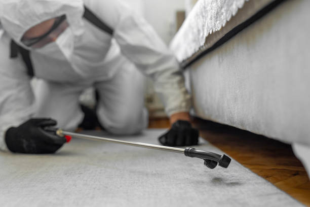 Professional Cockroach Control technician working in Redby, MN